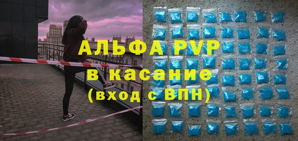 эйфоретик Пересвет