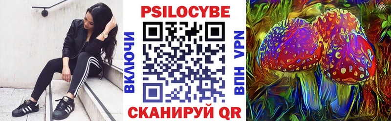 магазин продажи Питкяранта Галлюциногенные грибы мухоморы